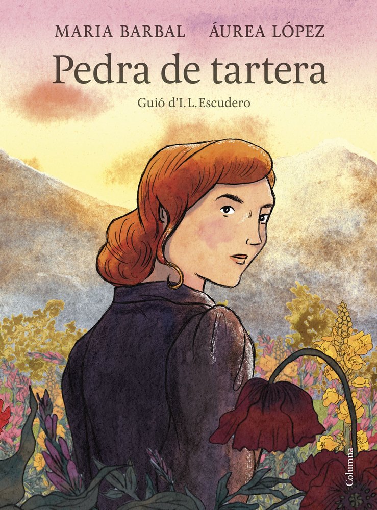 Pedra de tartera (Novel·la gràfica)